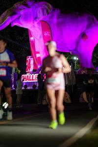 BIB: 
                            <button type="button" onclick="openModal(26533535)" class="btn btn-primary btn-sm float-right btn-popup" data-toggle="modal" data-target=".modal-high-quality">
                        <i class="fas fa-shopping-cart"></i> Add to Cart
                    </button>
                                            <button type="button" onclick="isThisMe(26533535, true)" class="btn btn-success btn-sm float-right btn-popup btn-isme hidden" data-toggle="tooltip" data-placement="bottom" title="นี่คือรูปของคุณใช่ไหม คลิกที่นี่เพื่อเอาเข้าอัลบั้ม">
                        <i class="fas fa-plus"></i> Add to album
                    </button>
                    <button type="button" onclick="isThisMe(26533535, false)" class="btn btn-warning btn-sm float-right btn-popup btn-isnotme hidden">
                        <i class="fas fa-ban"></i> Remove from album
                    </button>